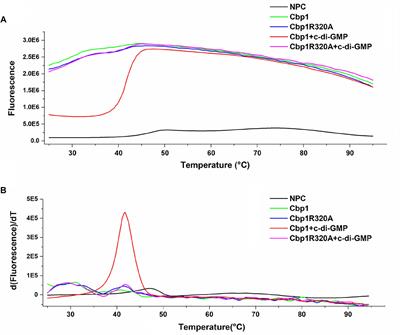 Identification of Cbp1, a c-di-GMP Binding Chemoreceptor in Azorhizobium caulinodans ORS571 Involved in Chemotaxis and Nodulation of the Host Plant